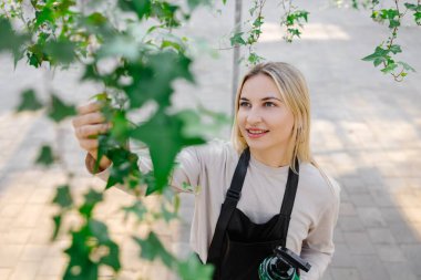 Gülümseyen kadın bahçıvan verimli sarmaşık yapraklarına su püskürterek canlı bir seradaki bitkileri besliyor, sağlıklı büyümeyi teşvik ediyor.