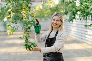 Bir serada özenle çalışan bir kadın, sallanan bitkilere su püskürtüyor, canlı, güneşli bir ortamda büyümelerini sağlıyor.