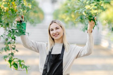 Bir serada özenle çalışan bir kadın, sallanan bitkilere su püskürtüyor, canlı, güneşli bir ortamda büyümelerini sağlıyor.