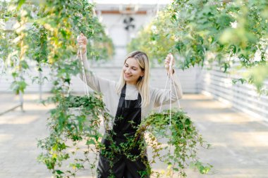 Gülümseyen genç bahçıvan iyi ışıklandırılmış bir seranın içinde canlı bitkiler düzenliyor, büyüme ve güzellik için neşeli bir atmosfer yaratıyor.