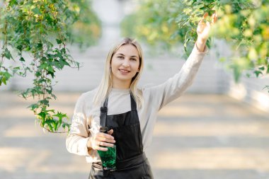 Bir serada özenle çalışan bir kadın, sallanan bitkilere su püskürtüyor, canlı, güneşli bir ortamda büyümelerini sağlıyor.