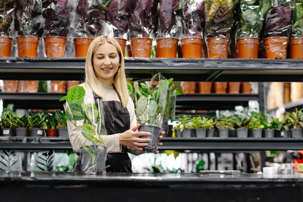 Çiçekçide iki saksı saksısı tutan gülümseyen çiçekçi, bahçıvanlık ve ev bitkileri konsepti