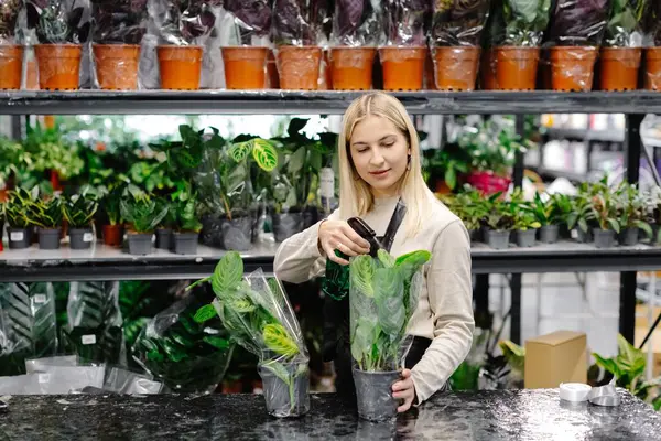 Çiçekçiyle ilgilenen, çiçekçide saksılara su sıkan, çeşitli bitkilerle dolu raflarla çevrili bir çiçekçi.