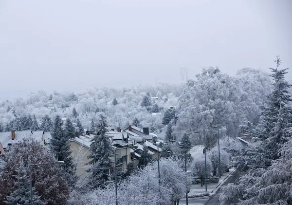 Bir banliyö konutunun kış manzarası