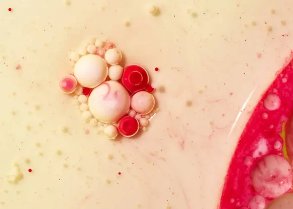 Süte boyanmış yağ damlalarının makro fotoğrafçılığı