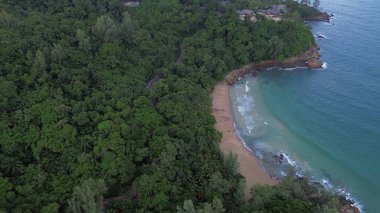 Cennet Kıyı ve Orman İnsansız Hava Aracı Perspektifi