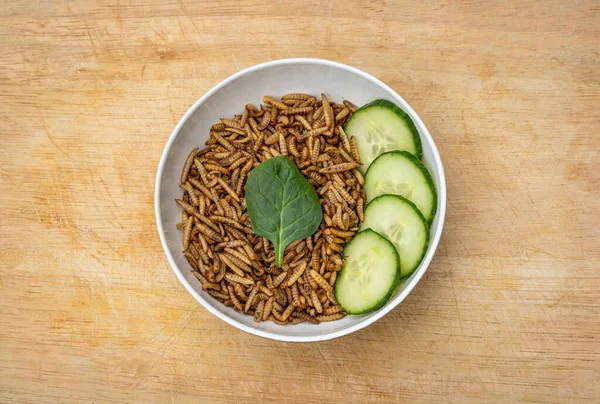 Mealworms with vegetables in a bowl, edible insect as an alternative, protein rich diet
