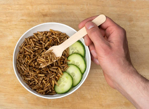 Eating mealworms, serving of edible insects in a bowl, top view with hand and the wooden fork