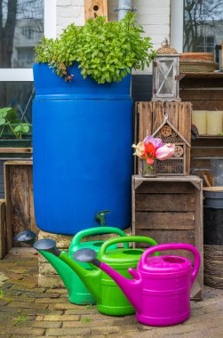 Rain barrel with watering cans for rainwater harvesting and plants growing on the top using self-watering wicking system clipart