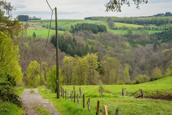 Landschaft Von Bouillon Wandern Den Belgischen Ardennen — Stockfoto