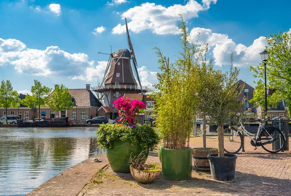 Landschap Met Historische Hollandse Molen Planten Aan Het Kanaal Stad — Stockfoto