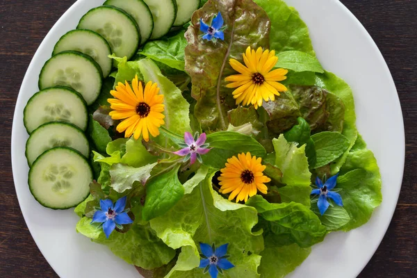 Salad with wild edible flowers