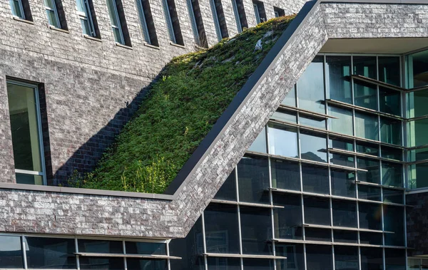 stock image Coevorden, The Netherlands, 02.09.2023, Architectural detail of the modern city hall of Coevorden with green, living wall