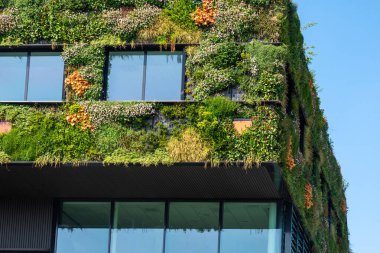 Yeşil renkli, sürdürülebilir, çeşitli bitkilerle dolu modern bir bina.
