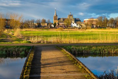 Hertogenbosch 'taki St. John Katedrali Bossche Broek Doğa Koruma Alanından görüldü