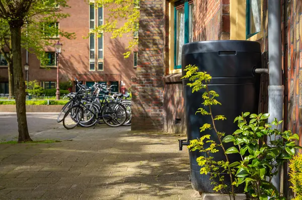 オランダの市街地の雨バレル 庭や家庭での使用のために雨水を節約 ストック画像