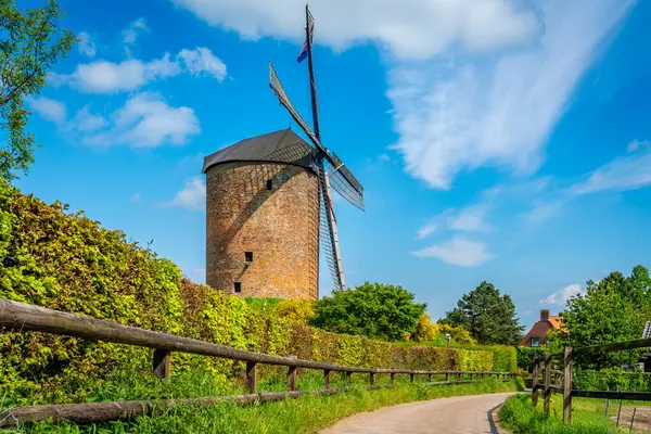 ゲルダーランド州ゼッダムの風景 オランダで最古の風車であるグラマー コレンモロールの景色 ストック画像