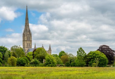 Meşhur Salisbury Katedrali. Doğal çayır sularından görüldü.