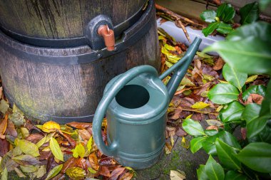 Autumn garden scene with wooden rain barrel and watering can, environmentally friendly rainwater harvesting