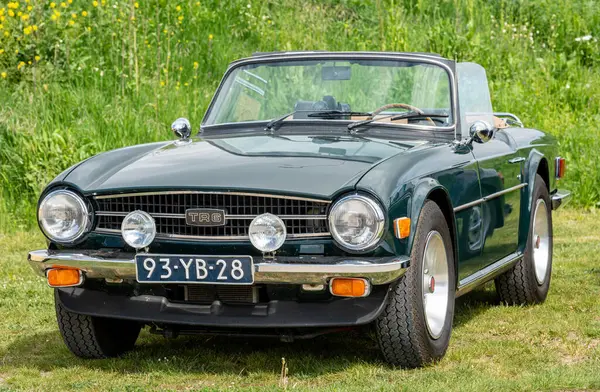 Tiel, Hollanda, 04.05.2025, Klasik İngiliz Roadster Triumph TR6 1976 Betuwse Fruitrit 'te