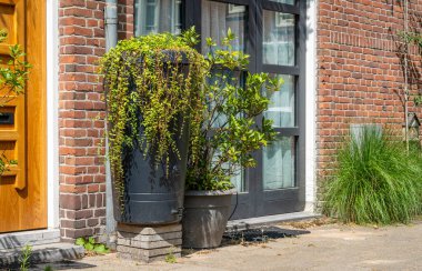 Rain barrel connected to downspout in front of modern home with plants growing at the top, rainwater harvesting and reusage
