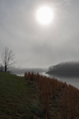 Kuzeydoğu Tennessee 'deki Boone Gölü Reservoir sahilinde sisli, sisli bir sabah..