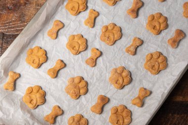 Rows of bone and paw print shaped dog treats on a parchment paper lined baking pan. clipart