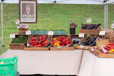 Dorset, Vermont, Birleşik Devletler. - 24 Eylül 2023. Dorset Çiftçi Pazarı. Taze ürün, yerel üretim, True Loves Farm 'ın güzel standı.