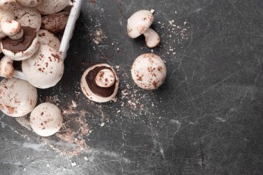 Narin, kremalı mantarlı kurabiyeler yapıyorum..