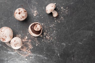 Narin, kremalı mantarlı kurabiyeler yapıyorum..