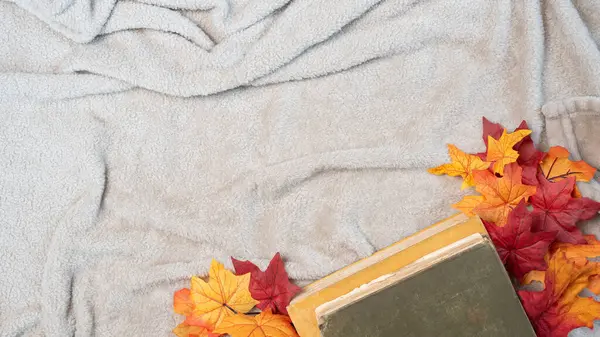 Yumuşak bir battaniye, eski kitaplar ve sonbahar yapraklarıyla sıcak sonbahar konsepti..