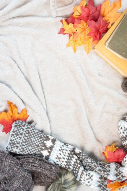 Yumuşak bir battaniye, eski kitaplar, sıcak şapka ve eşarp ve dökülen yapraklarla sıcak sonbahar konsepti..