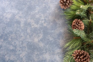 Mutlu noeller. Mavi-gri ve beyaz desenli yüzeyde kozalaklı Evergreen dalları.