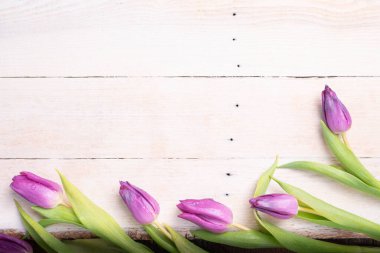 Beyazlatılmış ahşap tahtalarda lale çiçekleri. Çiçekli bahar arka planı.