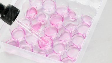 Göğüs kanseri aşısı maketi, pembe şişe. Kadın sağlığı, araştırma, farkındalık.