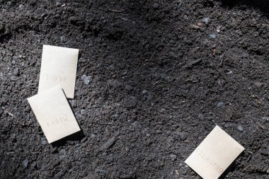 Fesleğen, kişniş, kekik kahverengi tohum paketleri zengin, koyu, kahverengi bereketli toprağın üzerinde, tohum ekme ya da bahçecilik geçmişi.