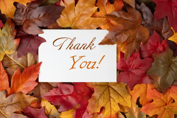 Sonbahar temalı Teşekkürler mesajı, beyaz kart metni, turuncu, altın ve kahverengi sonbahar yapraklarıyla.