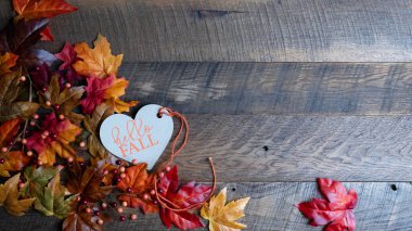 Koyu ceviz ve ahşap arka planda rengarenk sonbahar yeşillik afişi olan Sonbahar Kalpli Sonbahar etiketi