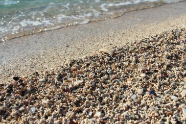 Kışın kumsalda temiz deniz havası ve kumların arasında midye kavramı.