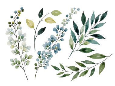 Dalları ve çiçekleri olan suluboya botanik çiçekleri.