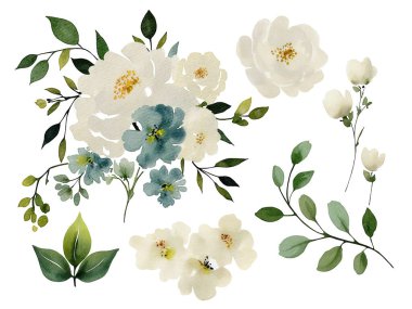 Dalları ve çiçekleri olan suluboya botanik çiçekleri.