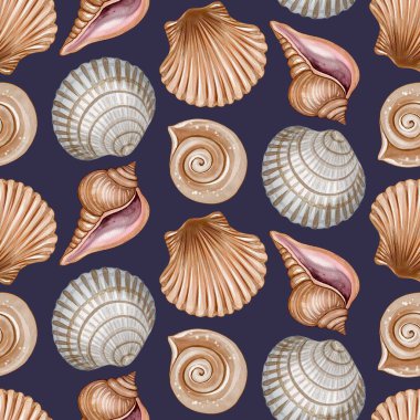 Deniz kabukları ve deniz kabuklarıyla kusursuz desen