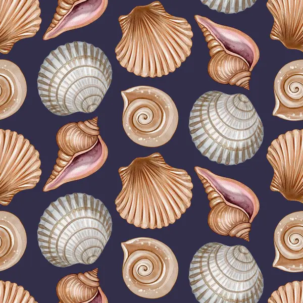 Deniz kabukları ve deniz kabuklarıyla kusursuz desen