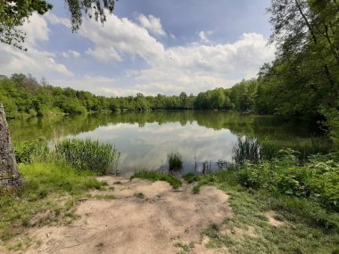 Ağaçların arasında küçük güzel bir göl