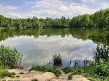 Ağaçların arasında küçük güzel bir göl