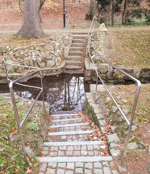 Merdivenli ve parmaklıklı gençlik havuzu