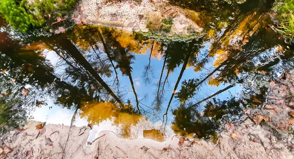 Ağaçların yansıması ve sudaki gökyüzü