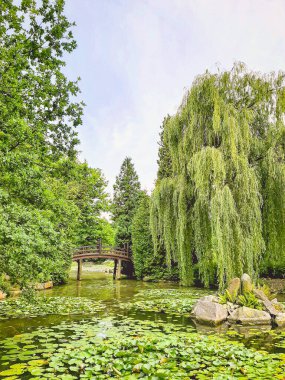 Açık bir yaz gününde, su ve yeşillikle dolu güzel bir park.