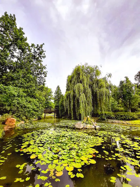Açık bir yaz gününde, su ve yeşillikle dolu güzel bir park.