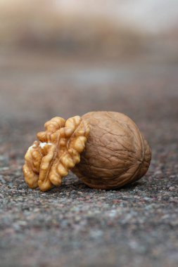 ceviz çekirdeği ve ceviz.